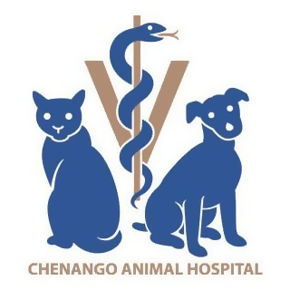 Chenango Animal Hospital | Veterinarian in Binghamton, NY